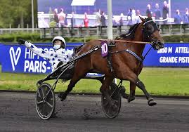 Raffin 1'12''5 3 7 dragon des racques d4 a. Kaiserlicher Face Time Bourbon Trabrennsport Aus Aller Welt Info Stall Mein Trabrennsport De
