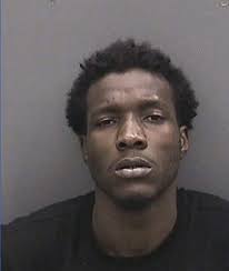 PC man charged with vehicular murder sentenced to 30 years