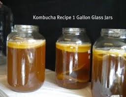 Kombucha Tea In One Gallon Jars Kombucha Recipe Kombucha Tea Tea Recipes