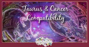 Taurus And Cancer Compatibility Friendship Love Sex