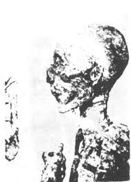 Image result for Art Gish in Hebron in front of tank