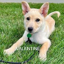 Headed out to WoodGrain Brewing Co.