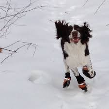 Muttluks Snow Mushers Dog Boots Orange