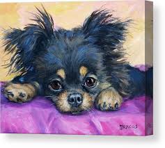 Uptown puppies connects you to top chihuahua breeders. Longhaired Chihuahua Puppy Black And Tan Canvas Print Canvas Art By Dottie Dracos