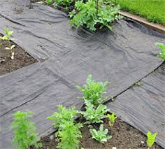 This type of weed control is best used where you grow perennial garden plants. Using Weed Fabric Gardener S Supply