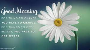 We did not find results for: Best Morning Wishes Quotes