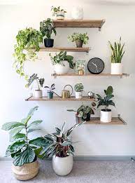 Plants Search Results Pots Plant Decor Indoor Room With Plants House Plants Decor