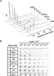 The CXXC Motif Is More Than A Redox Rheostat* - Journal Of Biological  Chemistry