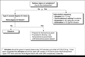 We did not find results for: B Bradycardia Algorithm Download Scientific Diagram