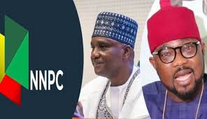 At the Green Chamber, Ugochinyere was actually asked to shut up and focus 