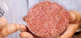 Bridging the gap between the science of cultured meat and public perceptions