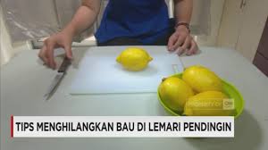 Apalagi jika aktivitas kamu padat, dan tak punya banyak waktu. Tips Menghilangkan Bau Di Kulkas Youtube