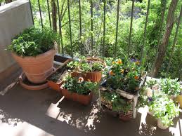 May 28, 2018 · build a functional vegetable garden trellis for your garden using a chicken wire and a few other supplies to support vines and climbers. Balcony Vegetable Garden Ideas Novocom Top