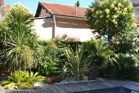 Piscine Terrasse En Bois Amenagement Paysager Avec De Palmiers Nicolas Roubaud 13008 Amenagement Jardin Piscine Et Jardin Terrasse Bois Exotique