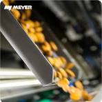 Belt Color Sorters - Meyer Europe