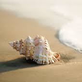 Obituary information for Janice Titus Pulliam