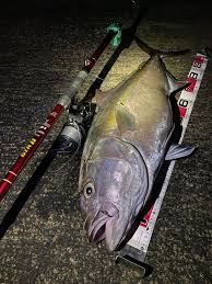 伊豆MidNight Casters!