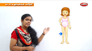 Sinhala, tamil, and english are all official languages and are extensively spoken throughout this country of 18 million people. Learn Human Body Parts For The Body For Kids In Tamil Preschool Learning à®‰à®Ÿà®² à®‰à®± à®ª à®ª à®•à®³ Youtube