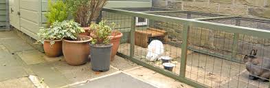 April 5, 2020 kyle pearce reply. Convert A Garden Shed Rabbit Welfare Association Fund Rwaf