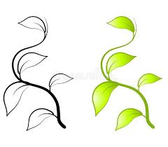 Black And White Flower Vines Clipart Image Result For Climbing Vine Clipart Vine Drawing Leaf Clipart Plant Drawing