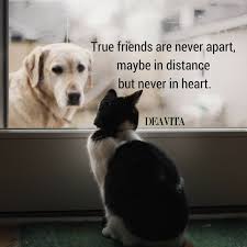 Someday, you'll need some support in your life, and i promise i'll be right by your side. 60 Friendship Quotes With Great Photos To Share With Your Friends