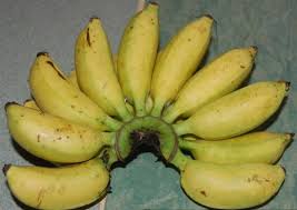 Kamu bisa menemukan penjual buah pisang dari seluruh indonesia yang terdekat dari lokasi & wilayah kamu. Jual Pisang Susu Organik Matang Di Tandan Di Lapak Arief Megah Jaya Bukalapak