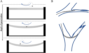 Veryan, biotronik, boston scientific corp., cook medical, . Systematic Evaluation Of Particle Loss During Handling In The Percutaneous Transluminal Angioplasty For Eight Different Drug Coated Balloons Scientific Reports
