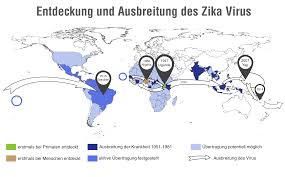 There is no vaccine to prevent infection. Zika Virus Antworten Auf Haufige Fragen
