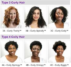 hair type chart 2 black african woman