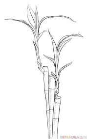 How To Draw A Bamboo Step By Step Drawing Tutorials Flower Drawing Tutorials Step By Step Drawing Drawing Tutorial