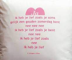 Ruth joos en wilfried de jong interviewen wekelijks schrijvers en dichters over hun werk. Plint Kussensloop Met Gedicht Ja K Schippers Isbn 9789076841823