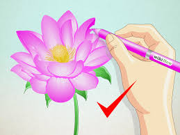 Flower Lotus Drawing At Getdrawings Com Free For Personal