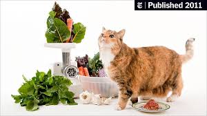 Can cats eat cheese? is a very broad question, so the answer isn't totally simple. Homemade Pet Food For Dogs And Cats The New York Times