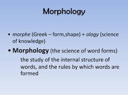 Unit 2_Phonology.Pptx
