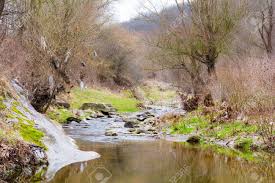 El bosque la primavera, es una amplia zona forestal localizada en el. Parte Del Rio Seco En El Bosque Durante La Primavera Fotos Retratos Imagenes Y Fotografia De Archivo Libres De Derecho Image 54591532