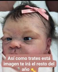 por más la mosca que basura, la mosca porque siempre Interesante, reflexión  የድላ que la abeja le explique a la flor mejor que quela la va entender, la  basura. es lo no