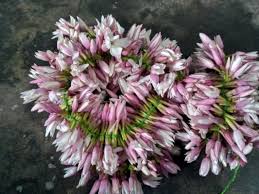 Particularly in spring, these offer a rich range of wild flowers. Visaka Divines Bay Area S Finest Fresh Flowers Online