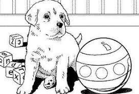 Check spelling or type a new query. Puppy Coloring Pages Coloring Pages For Kids And Adults