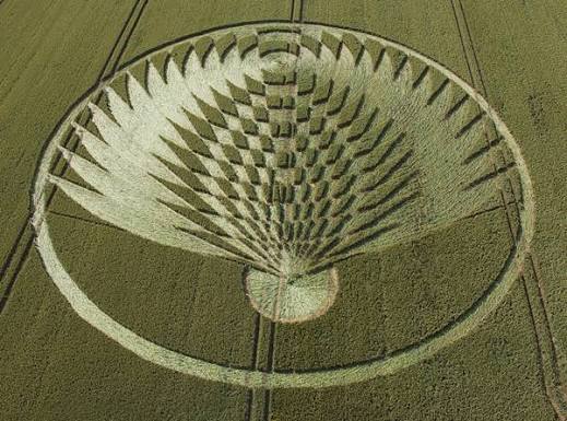 Uffington Castle, Oxfordshire| 8th July 2006 | Wheat OH - Temporary Temples