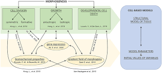 Welcome to the world of microbiology. Frontiers A Sight On Single Cell Transcriptomics In Plants Through The Prism Of Cell Based Computational Modeling Approaches Benefits And Challenges For Data Analysis Genetics