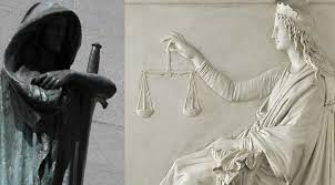 Image result for Justicia nuttii