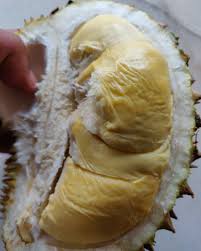 Sampai 80% diskaun di agoda®! 942 Sukaan 5 Komen Kelateku Kelateku Pada Instagram Hari Ni Min Jumpa Lubuk Untuk Hantu Durian Durian Yang Terbaik D Makanan Makanan Minuman Instagram