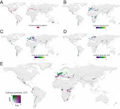 Match each type of agriculture to the world region where it would most likely be found. Diversity Buffers Winegrowing Regions From Climate Change Losses Pnas