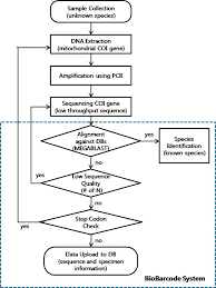 flowchart of biobarcode dna sequence identification and