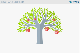 What kind of fruit tree do you want to be? What Does Low Hanging Fruit Mean Ryte Wiki