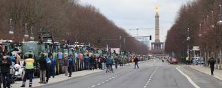 Rede von joshiko saibou vom 29.08.2020 auf der demo von querdenken in berlin die mit der demonstration am reichstagsgebäude nichts zu tun hatte. Insektenschutzpaket Im Bundestag Heutige Demo In Berlin Agrarheute Com