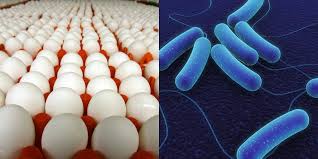 Maybe you would like to learn more about one of these? 8 Kinds Of Food Poisoning To Know And Avoid Food Republic