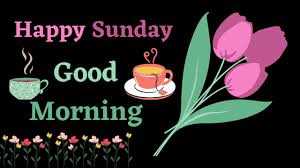 Spending time with loved ones, and mostly about taking the day out to have a good day!a sunday wish gives you the warmness and coziness of the weekend. Good Morning Sunday Images For Whatsapp Free Download Hd Wallpaper Pictures Photos Of Happy Sunday Good Morning Mixing Images