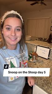 Make Snoopy Dog House Christmas