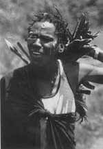 Image result for Voacanga pachyceras